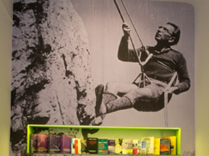 VIKTOR FRANKL MUSEUM WIEN